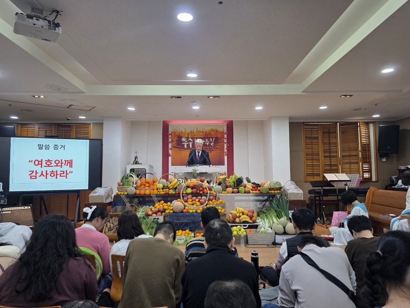 94bae49381dd68a2dbdb7571c337b56b_1763965