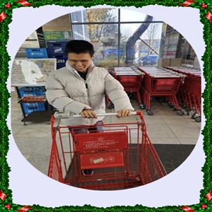 990b65270e5e441fc762b9b6e4d56223_1766658