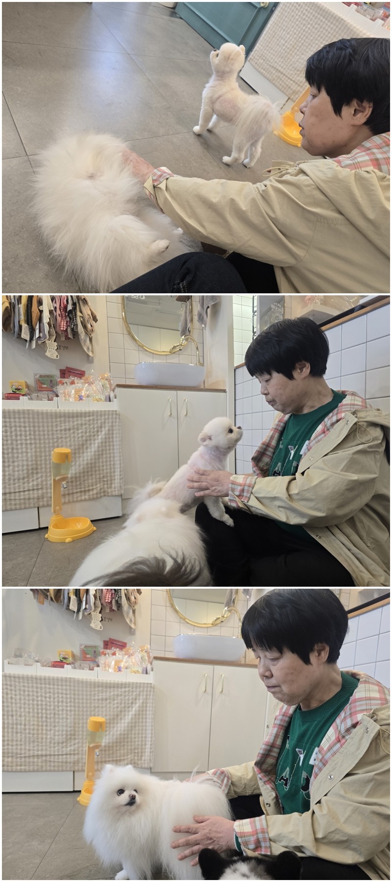 96b394332d12ade271df27e924db4e3e_1773994